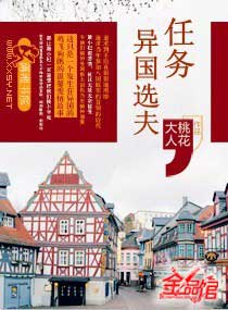 任务之异国选夫封面