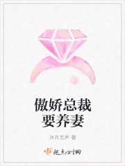 傲娇总裁要养妻封面