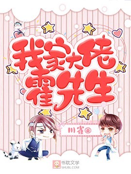 我家大佬霍先生封面