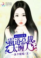 Boss追宠：霸道总裁太缠人封面