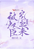 被权臣宠起来真要命封面