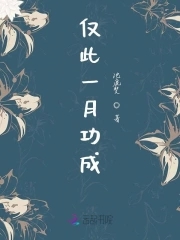 仅此一月功成封面