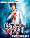护花高手闯都市 封面
