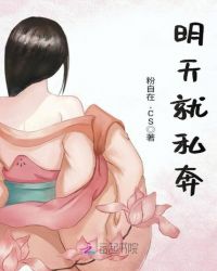 明天就私奔封面