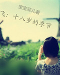 鹅毛飞：十八岁的季节封面