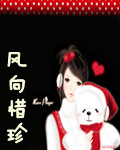 风向惜珍封面