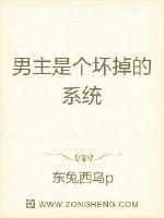 男主是个坏掉的系统封面