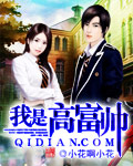 我是高富帅封面