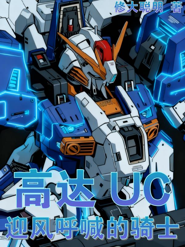 高达UC：迎风呼喊的骑士封面