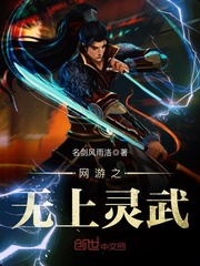 网游之无上灵武封面
