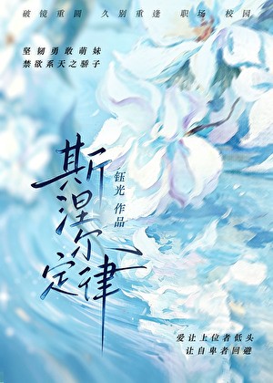 斯涅尔定律封面