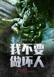 我不要做坏人封面