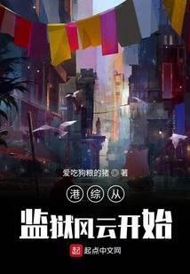 港综从卧底开始封面