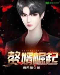 赘婿当道-赘婿崛起-岳风封面