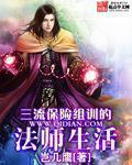 三流保险组训的法师生活封面