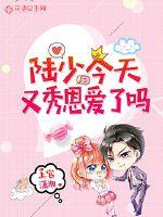 陆少今天又秀恩爱了吗封面