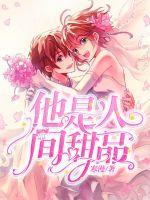 他是人间甜品封面