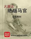 大唐之绝版马官封面