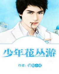 少年花丛游封面