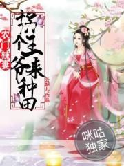 农门辣妻：拐个王爷来种田封面