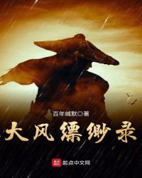 大风缥缈录封面