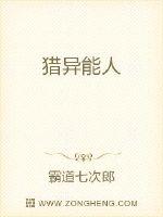 猎异能人封面