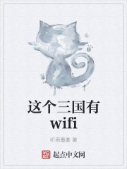 这个三国有wifi封面