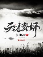 天才赘婿封面