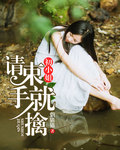 初小姐请束手就擒封面