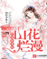 恰逢你来时，山花烂漫封面