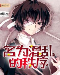 名为混乱的秩序封面