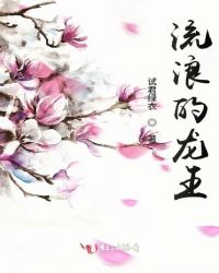流浪的龙王封面
