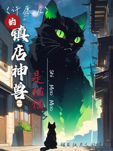 许愿店的镇店神兽是猫猫封面