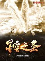 星空之圣封面