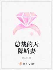 总裁的天降娇妻封面