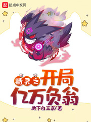 精灵之开局亿万负翁封面