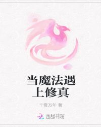 当魔法遇上修真封面