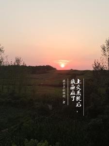 被系统赖上后我爱情事业双丰收封面