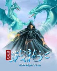 战龙记封面