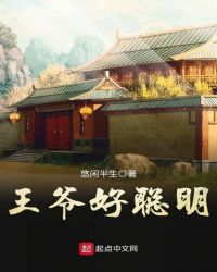 王爷好聪明封面