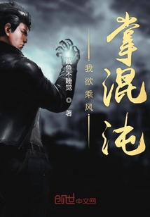 我欲乘风掌混沌封面