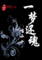 一梦还魂封面