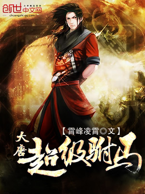 大唐超级驸马封面