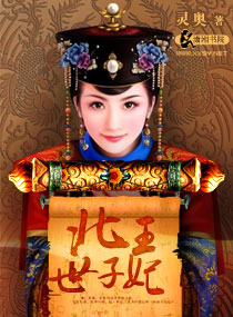 北王世子妃封面