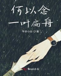 何以念一叶扁舟封面