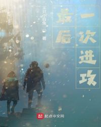 最后一次进攻封面