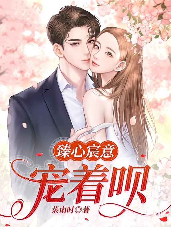臻心宸意：宠着呗封面