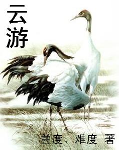 云游封面