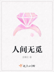 人间无觅封面