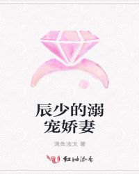 辰少的溺宠娇妻封面